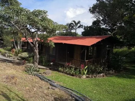 Superior Bungalov, Birden Çok Yatak, Sigara İçilmez