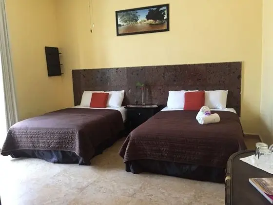 Superior Tek Büyük Yataklı Oda