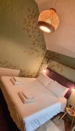 Tek Büyük Yataklı Oda, Engellilere Uygun, Banyolu/Duşlu