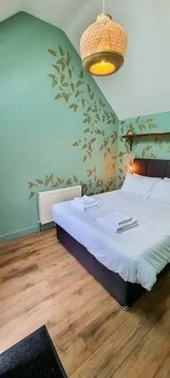 Tek Büyük Yataklı Oda, Engellilere Uygun, Banyolu/Duşlu