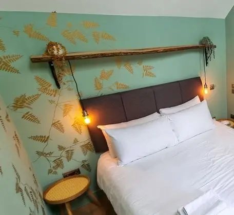 Tek Büyük Yataklı Oda, Engellilere Uygun, Banyolu/Duşlu