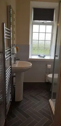 Tek Büyük Yataklı Oda (Mynydd Parys)