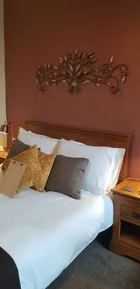 Tek Büyük Yataklı Oda (Mynydd Parys)