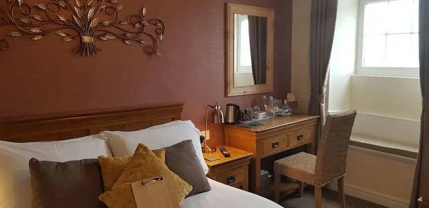 Tek Büyük Yataklı Oda (Mynydd Parys)
