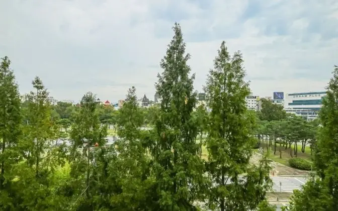 Premium Tek Büyük Yataklı Oda