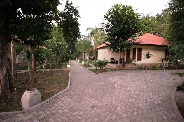 Deluxe Bungalov, 1 En Büyük (King) Boy Yatak
