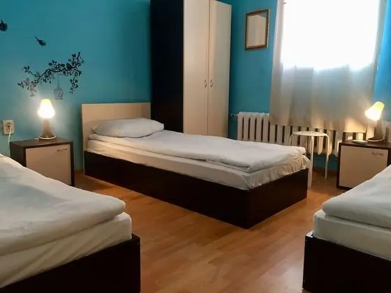 Classic Üç Kişilik Oda, 3 Tek Kişilik Yatak, Şehir Manzaralı