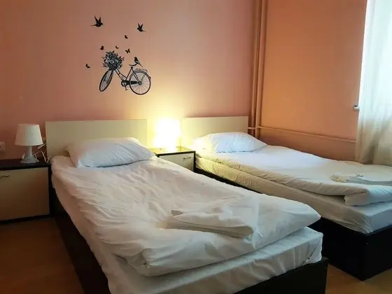 Standard İki Ayrı Yataklı Oda, Şehir Manzaralı