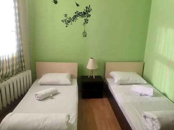 Standard İki Ayrı Yataklı Oda, Şehir Manzaralı