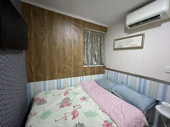 Basic Tek Büyük Yataklı Oda