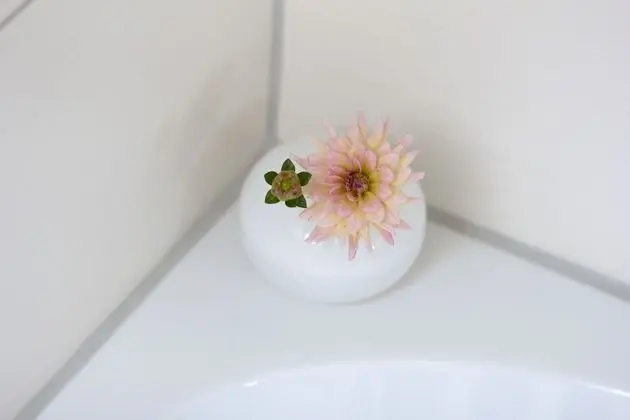 Standard Apart Daire, Ortak Banyo