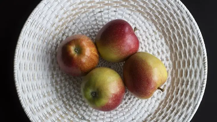 Standard Apart Daire, Ortak Banyo