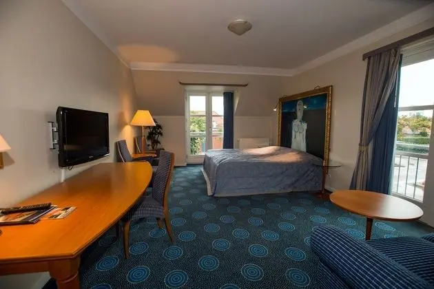 Superior Tek Büyük Yataklı Oda