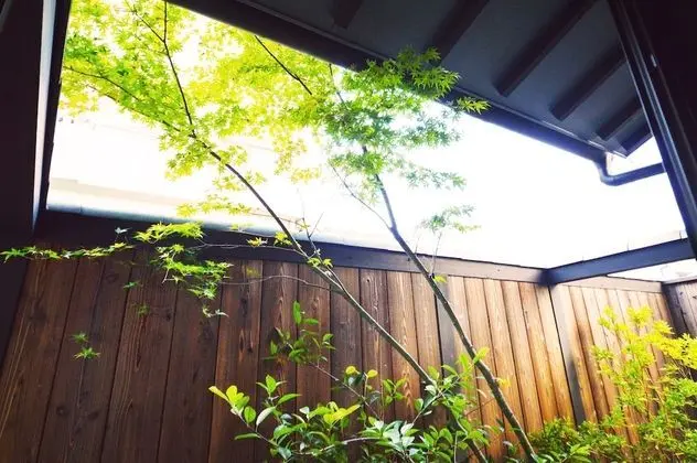 Superior İki Ayrı Yataklı Oda, Sigara İçilmez (with Tatami)