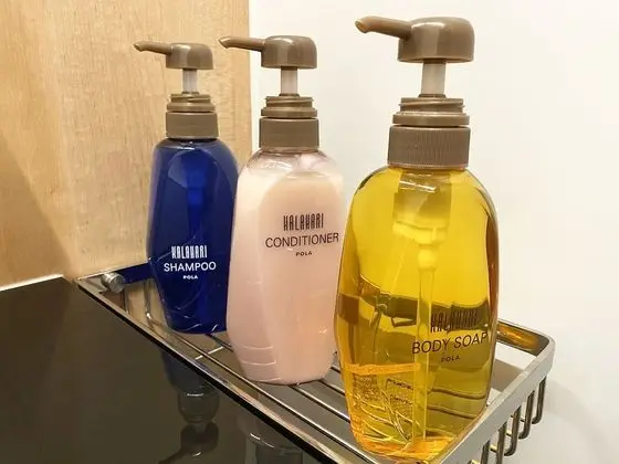 İki Ayrı Yataklı Oda (Moderate, Tatami)