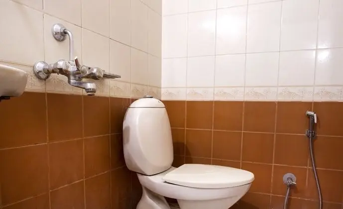Deluxe Tek Büyük Yataklı Oda, Sigara İçilebilir, Şehir Manzaralı