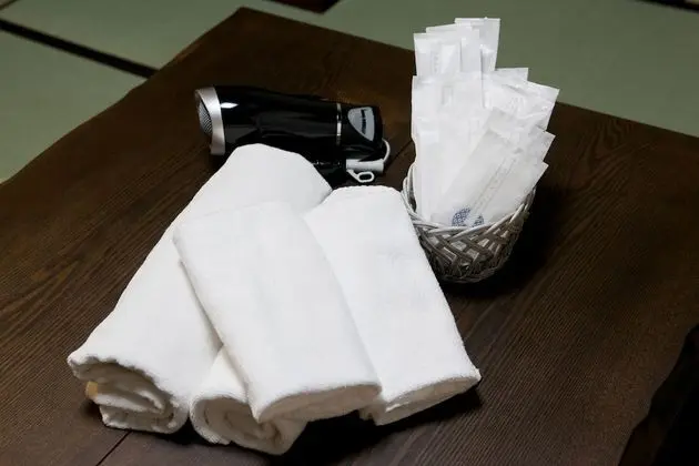 Traditional Sıra Ev (Japanese Style)