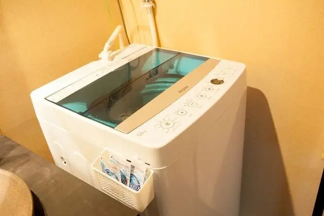 Traditional Sıra Ev (Japanese Style)