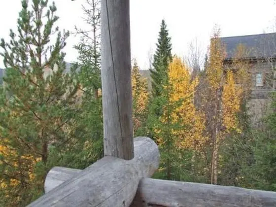 Ev