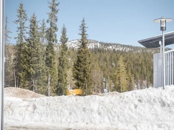 Ev
