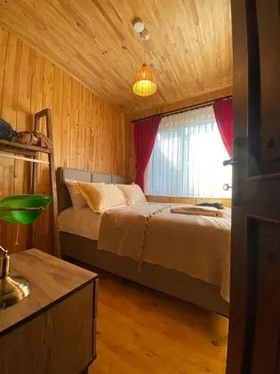 Standart Oda, Doğa Manzaralı, Klimalı