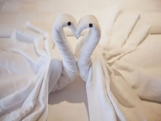 Deluxe İki Ayrı Yataklı Oda