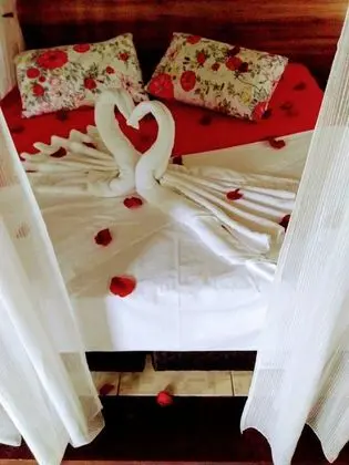 Dağ Evi