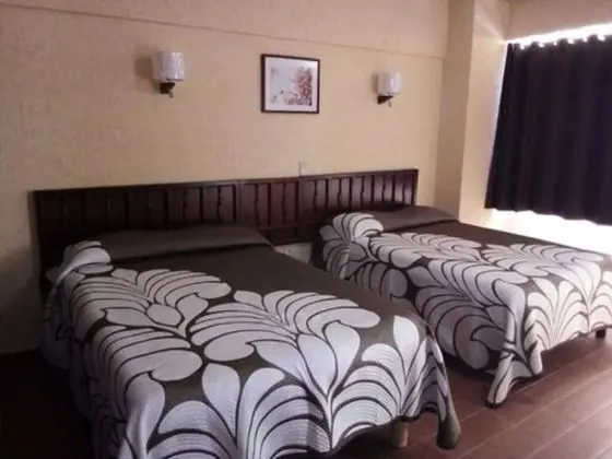 Tek Büyük Yataklı Oda, 2 Çift Kişilik Yatak, Sigara İçilmez, Şehir Manzaralı