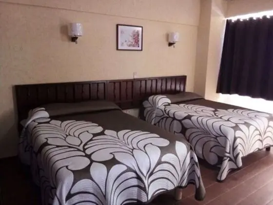 Üç Kişilik Oda, 2 Çift Kişilik Yatak, Sigara İçilmez, Şehir Manzaralı