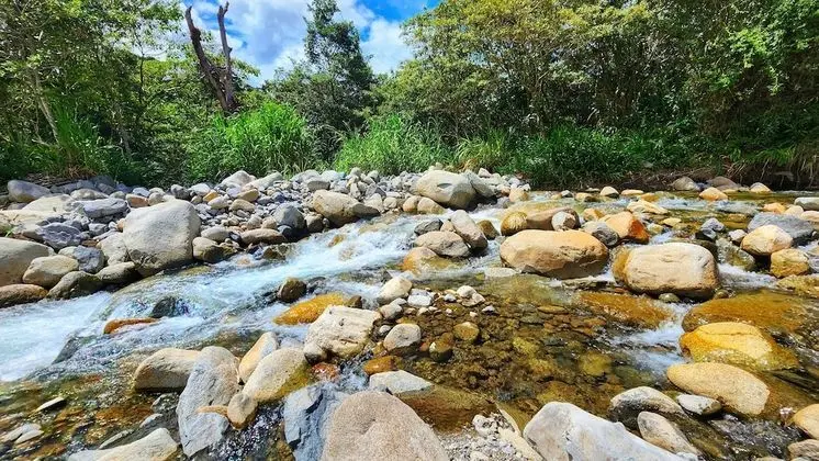Panoramic Kulübe, 1 En Büyük (King) Boy Yatak, Nehir Manzaralı, Köşe