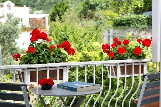 Tek Büyük Yataklı Oda, Teras