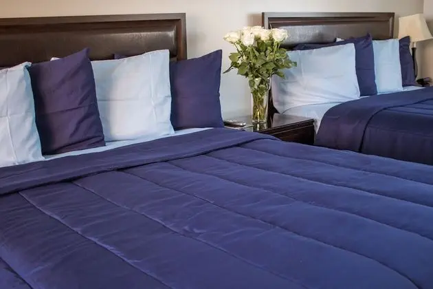 Oda (2 Queen Beds and 1 Sofa Bed)