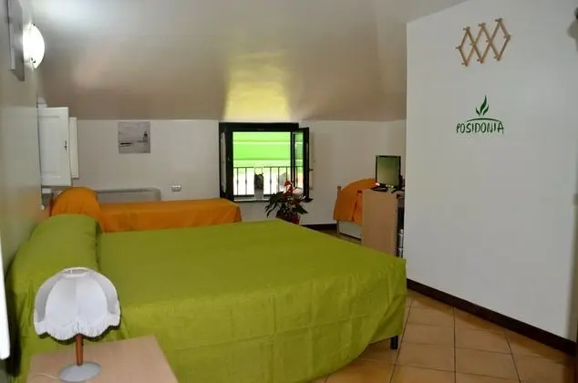 Basic Dört Kişilik Oda