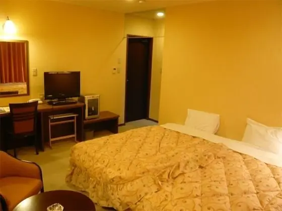 Superior Tek Büyük Yataklı Oda