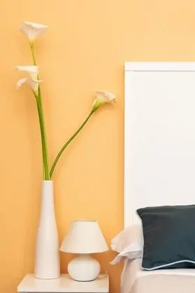 Standard Tek Kişilik Oda, 1 Tek Kişilik Yatak, Sigara İçilmez