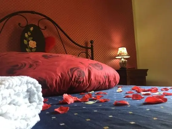 Standard Tek Büyük Yataklı Oda, 1 Çift Kişilik Yatak