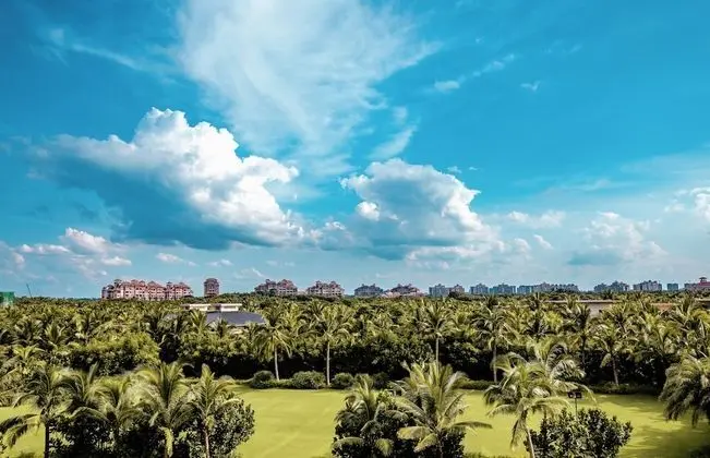 Club Oda, 1 En Büyük (King) Boy Yatak, Golf Manzaralı