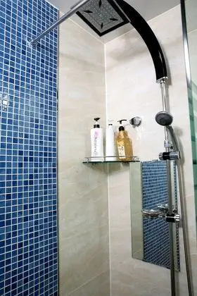 Standard Tek Büyük Yataklı Oda (Hotel Type)