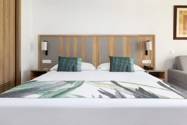 Tek Büyük Yataklı Oda, Balkon, Deniz Manzaralı
