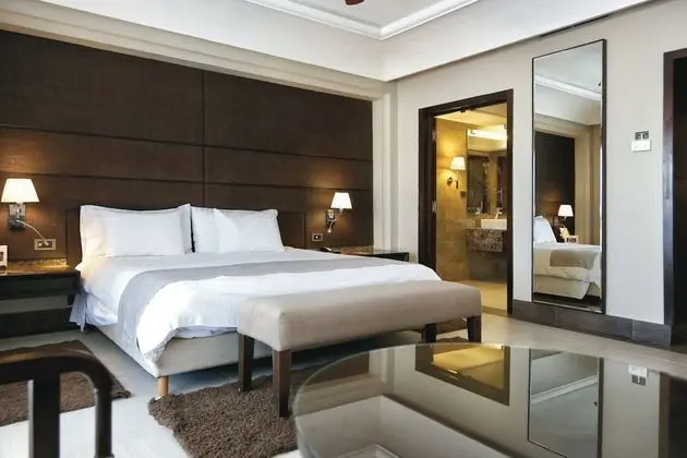 Standard Tek Büyük Yataklı Oda, Balkon, Havuz Manzaralı