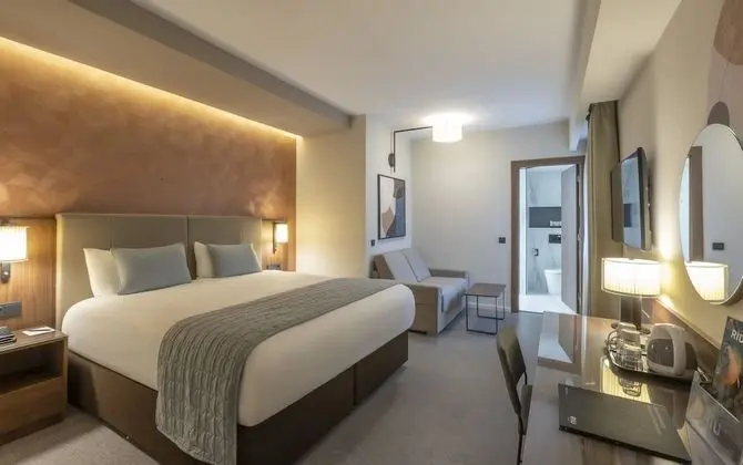 Deluxe Oda, 1 Çift Kişilik Yatak