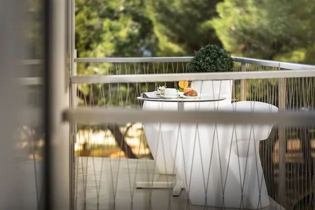 Superior Tek Büyük Yataklı Oda, 1 Çift Kişilik Yatak, Balkon, Park Manzaralı