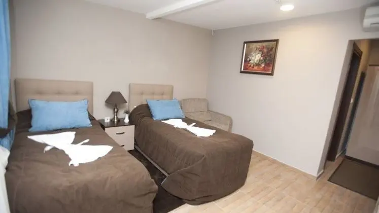 Deluxe Çift Kişilik veya İki Yataklı Oda