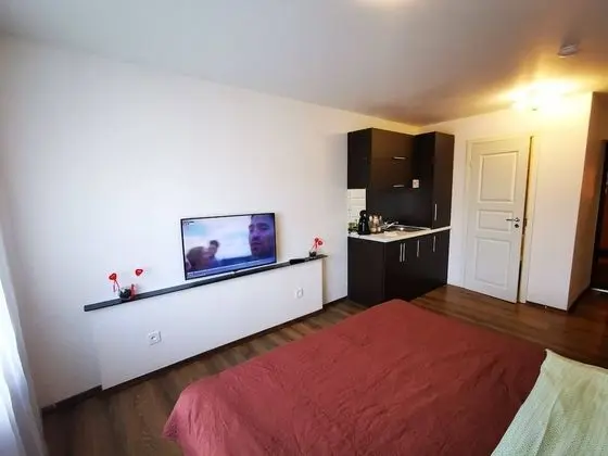 City Apart Daire, 1 Büyük (Queen) Boy Yatak, Sigara İçilmez