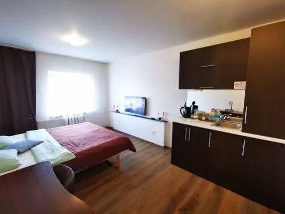 City Apart Daire, 1 Büyük (Queen) Boy Yatak, Sigara İçilmez