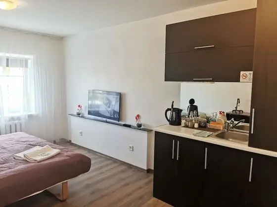 City Apart Daire, 1 Büyük (Queen) Boy Yatak, Sigara İçilmez