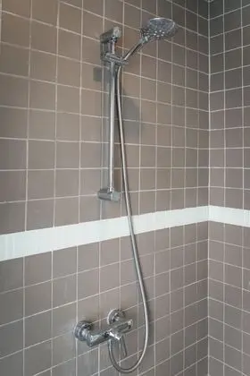 Tek Büyük veya İki Ayrı Yataklı Oda (Pond/Garden Ground Floor )