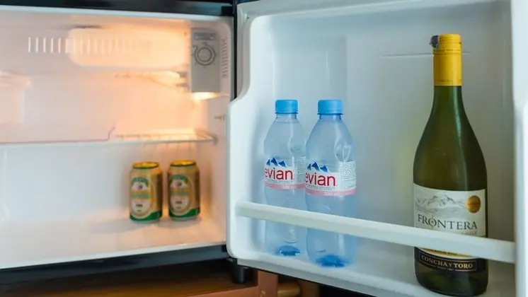 Tek Büyük veya İki Ayrı Yataklı Oda (Pond/Garden Ground Floor )