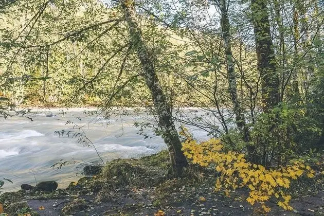 Kulübe, Birden Çok Yatak (River Dance Retreat)