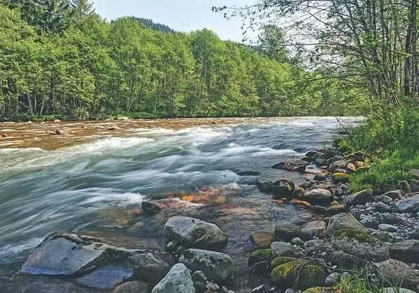 Kulübe, Birden Çok Yatak (River Dance Retreat)